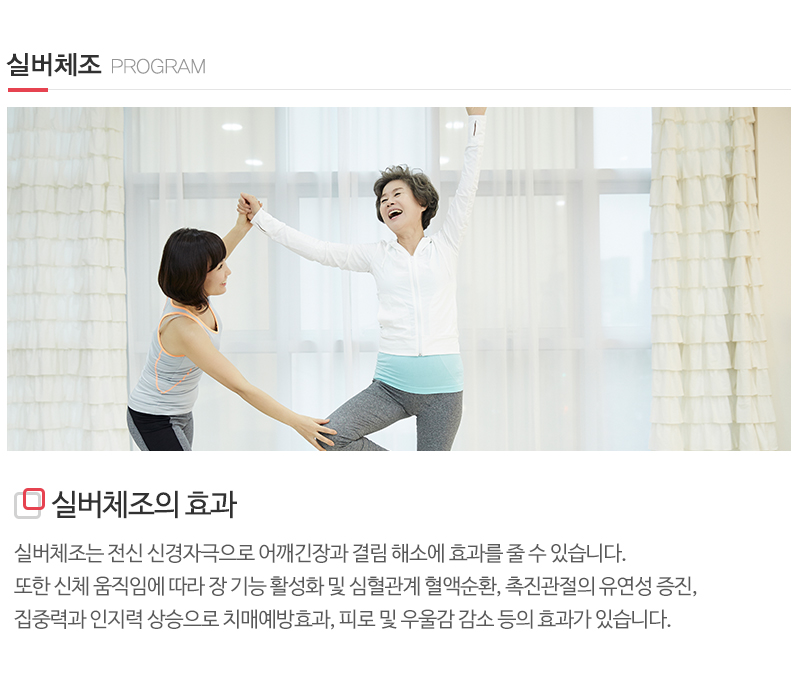 사랑드림재가노인복지센터_내용